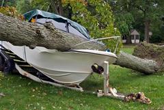 A boat being crushed by a fallen tree